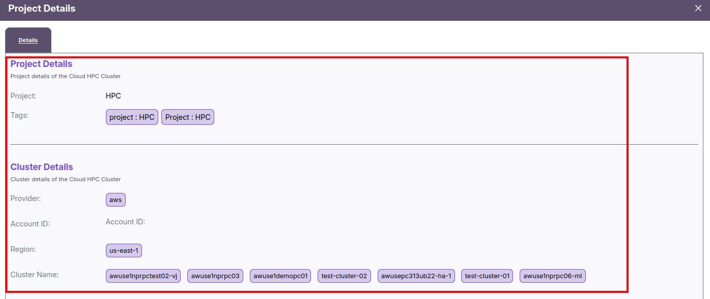 Project Details Popup
