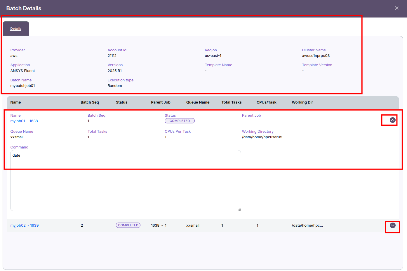 Batch Job Details