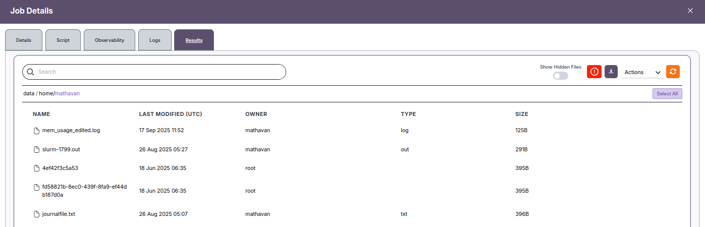 Results Tab Example