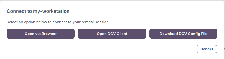 Workstations Connect List